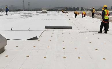 實力見證!57萬㎡TOP柔性屋面特種材料供應(yīng)商!