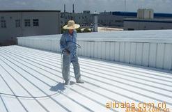 【防水隔熱工程防水保溫隔熱外墻漆一步到位】價(jià)格,廠家,圖片,建筑項(xiàng)目合作,南寧水精靈保潔科技-